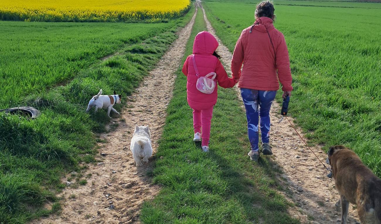 Parrainage d'enfants confiés : réunions publiques d'information