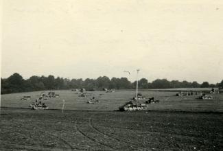 Groupe de chars et véhicules de la 6e panzerdivision à l’arrêt dans un champ avant de reprendre leur progression, mai 1940 ©Arch. dép. de l’Aisne, 2 Fi 577