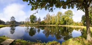 étang de Saint Simon sentier découverte