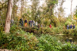 Sentier découverte marais de Saint-Simon