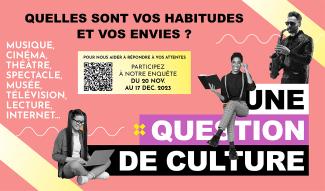 Enquête en ligne culture