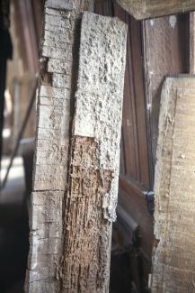 La présence de mérule a été constatée