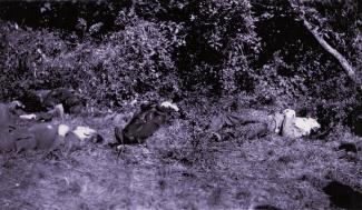 Les corps des fusillés de Plomion ©Arch. du Musée de la Résistance et de la Déportation de Tergnier