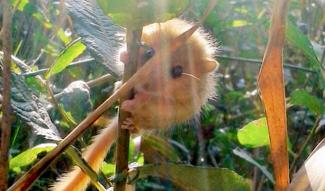 Visuel des mardinales du 10 mars