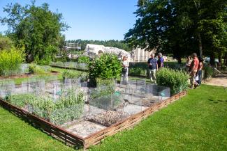 Le jardin des plantes medicinales