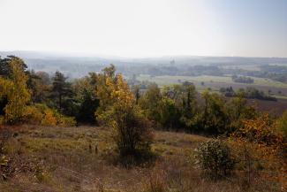 le sentier de la chaouia pelouse calcicole