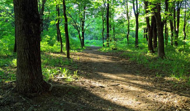 Parcours Explore Terre de jeux 2024 ©Shutterstock