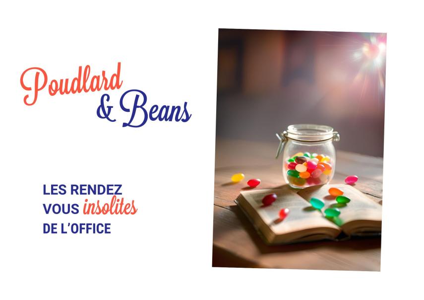 SECRETS & POTION AGENDA VILLE - 2