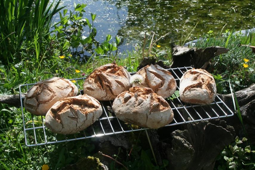 Au Jardin d'Hélène stage pain et cuisine < Proisy < Thiérache < Aisne < Picardie 