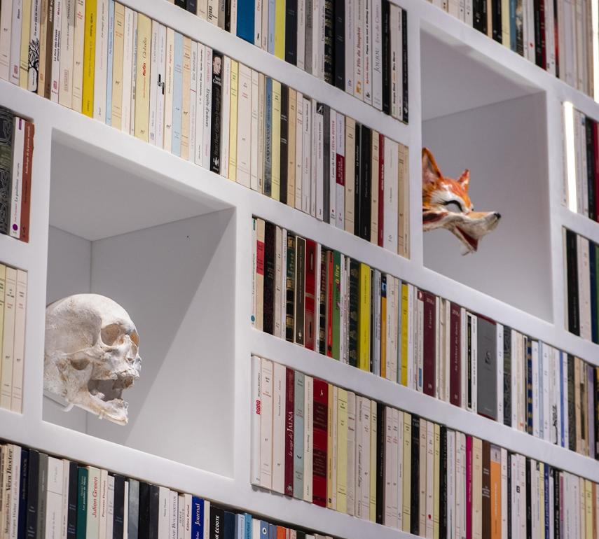 Bibliothèque magique dans le parcours de visite