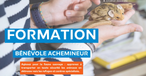 Capture d'écran 2025-12-10 095117