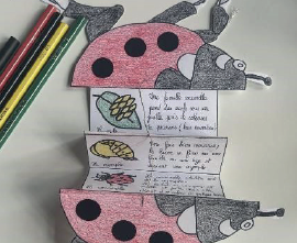 Capture d'écran 2025-12-31 121936