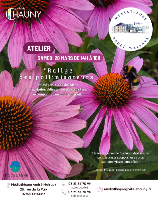 Capture d'écran 2026-03-23 092129