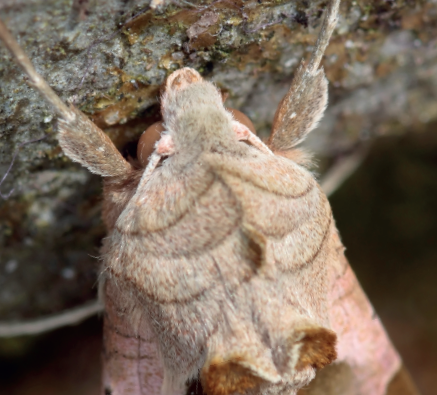 Capture d'écran 2026-04-09 142500