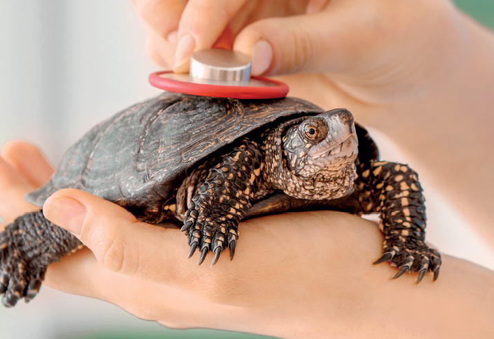 Capture d'écran 2026-04-09 144146