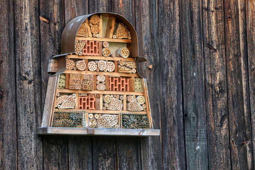 Hôtel à insectes < Vesles-et-Caumont < Aisne < Picardie