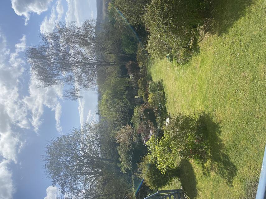 jardin 1