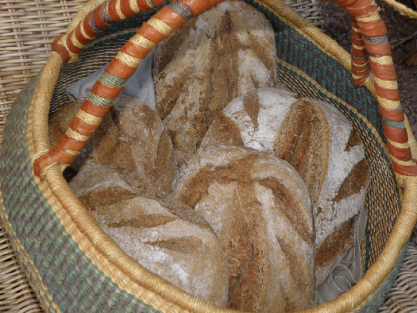 Jardin d'Hélène Proisy < Thiérache < Aisne < Hauts-de-France