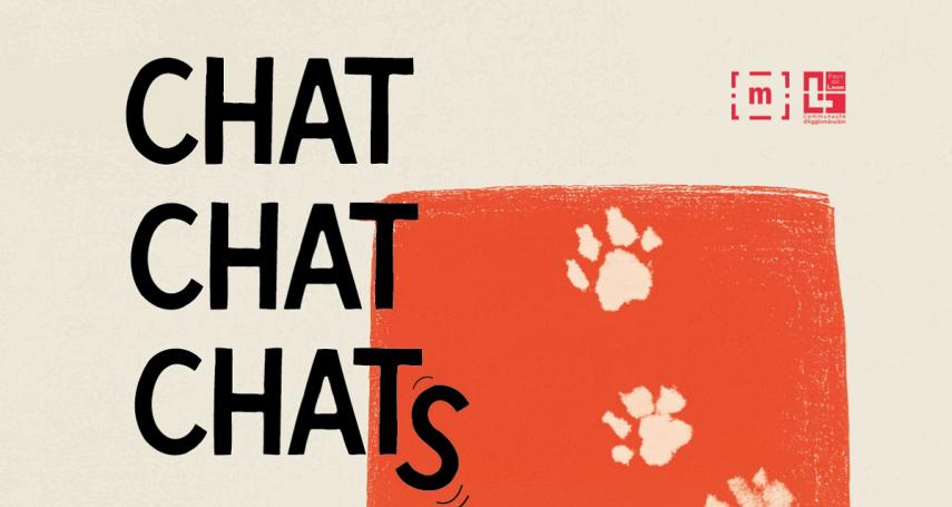 Exposition Chat chat chats affiche < Laon < Aisne < Picardie