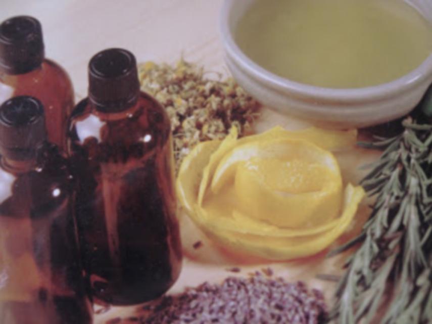 Au Jardin d'Hélène < Proisy < Thiérache < Aisne < Hauts de France