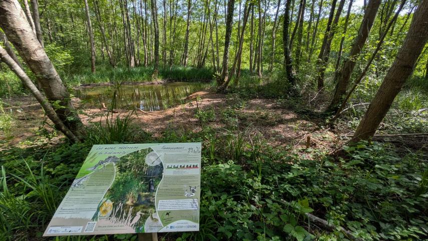 Sortie nature mares < Neuville-sur-Ailette < Aisne < Picardie