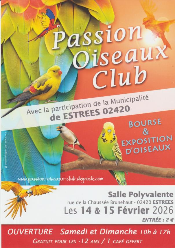 OISEAUX ESTREES