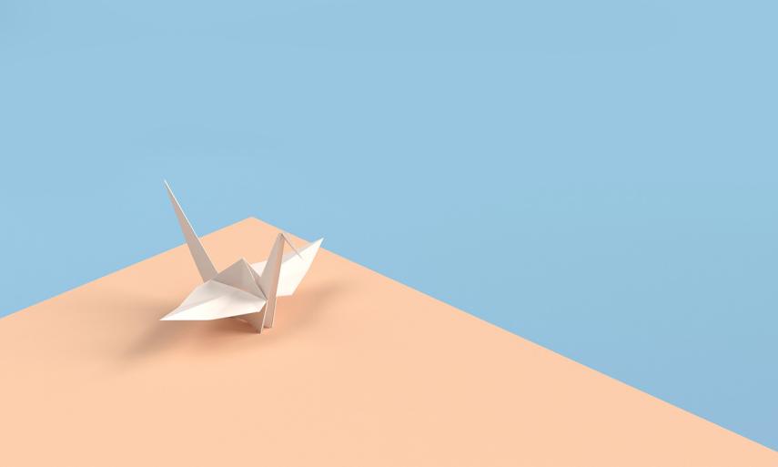 Atelier origami < Laon < Aisne < Picardie