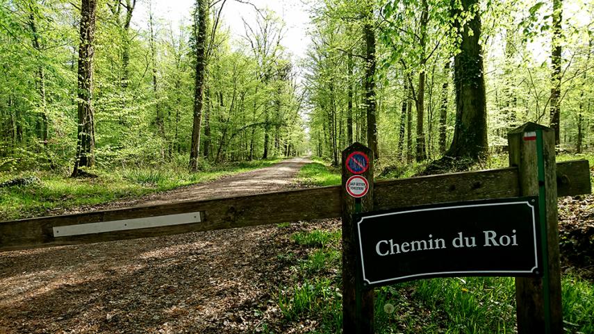 Forêt domaniale de Vauclair II < Bouconville-Vauclair < Aisne < Picardie