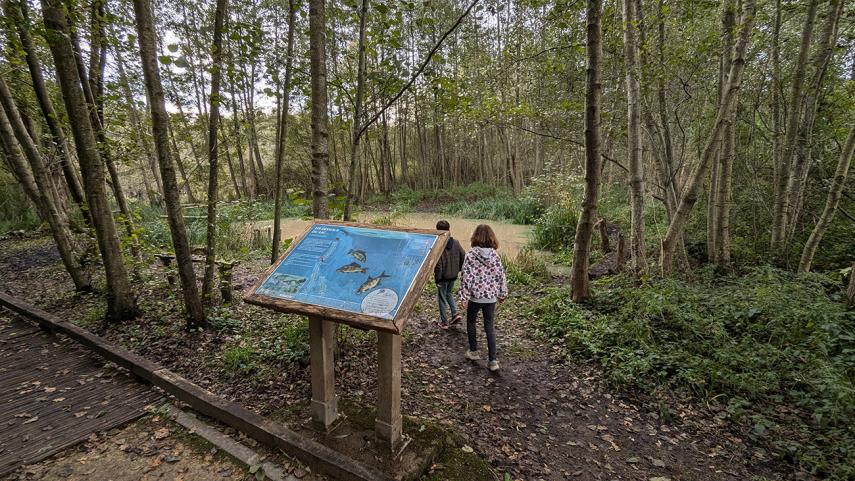 Chantier nature mare < Neuville-sur-Ailette II < Aisne < Hauts-de-France