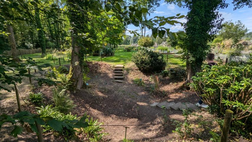 Jardin plantes médicinales 2024 < Vauclair< Aisne < Picardie