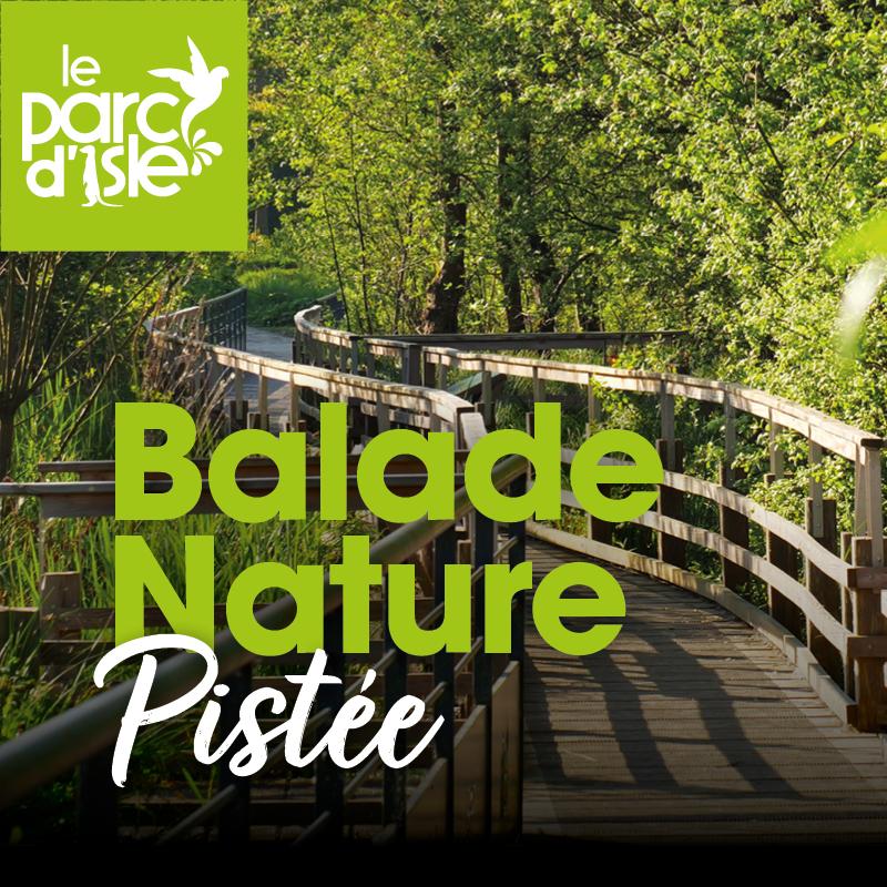 balade-nature-pistee-fevrier-2026-800 x 800