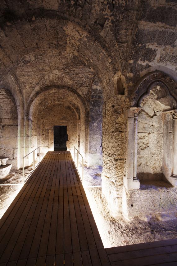 crypte st médard