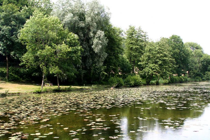 Journée nature étangs < Prémontré < Aisne < Hauts-de-France