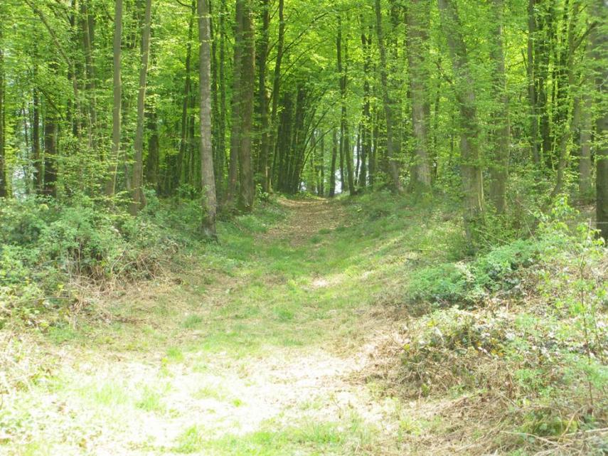 chemin < forêt < Aisne < Picardie