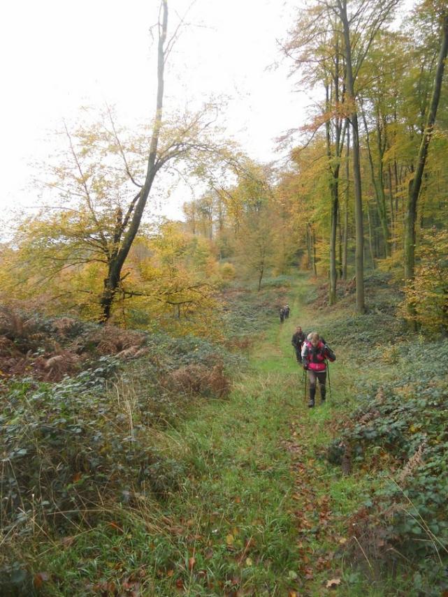 Forêt de Retz < Marcheurs < Aisne < Picardie