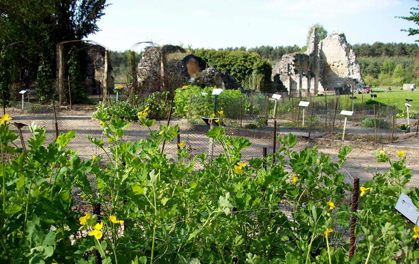 Jardin plantes médicinales < Vauclair < Aisne < Picardie