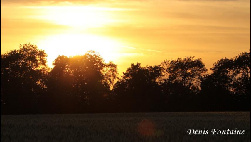 nocturne en forêt de retz