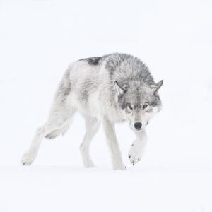 photo_3_-_dorota_et_bruno_senechal_2026