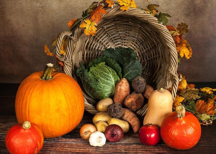 pumpkin-1768857_960_720