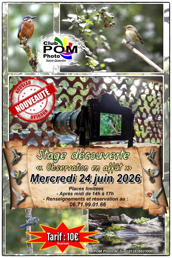 stage affut 24 juin