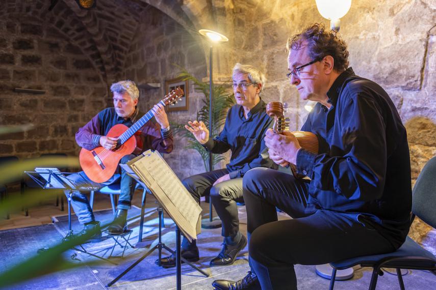 trio mandoline guitare format OT