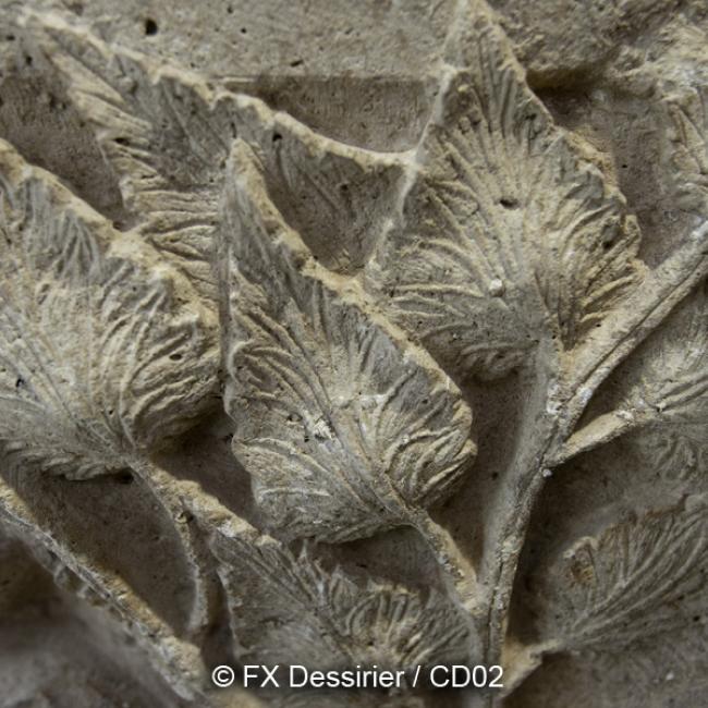 Culot sculpté du 13eme siecle trouvé à La Ferté-Milon