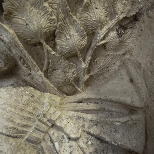 Culot sculpté du 13eme siecle trouvé à La Ferté-Milon