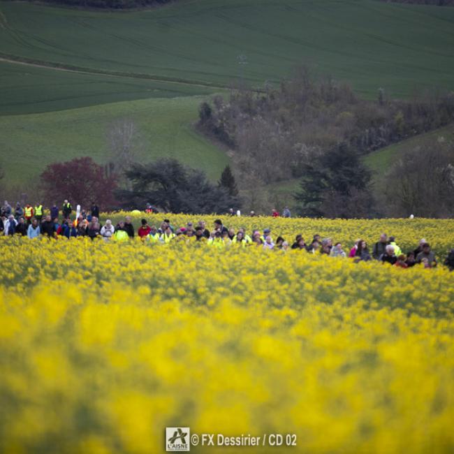 Marche du matin 16 avril