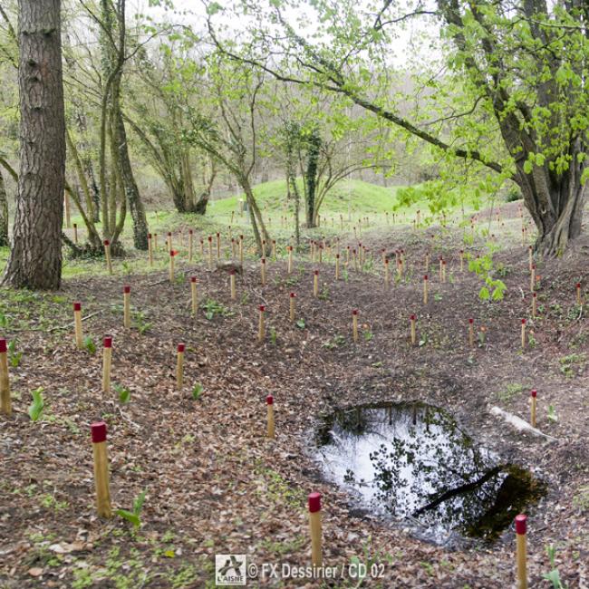 jardin de la paix Craonne