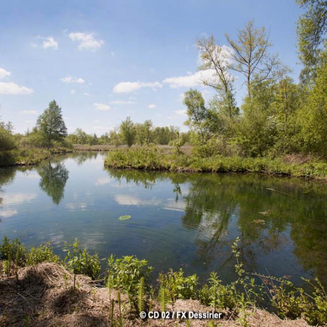 Balade au marais d'Isle de Saint-Quentin