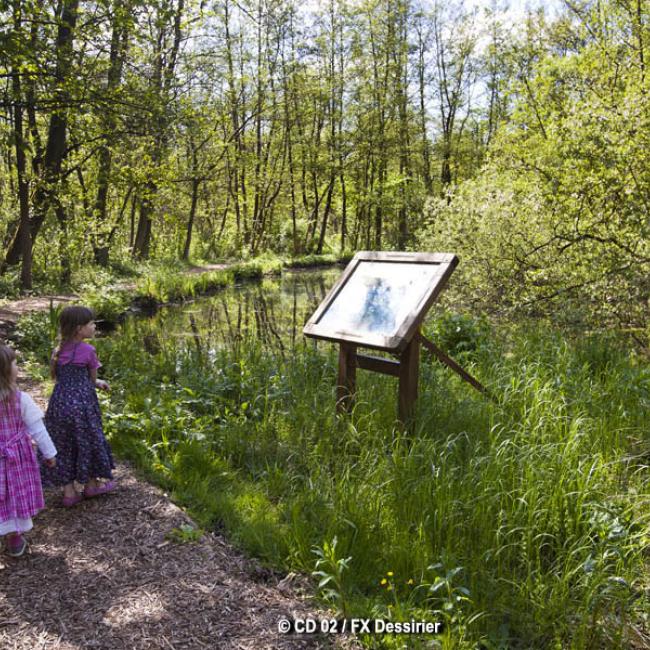 Balade au marais d'Isle de Saint-Quentin