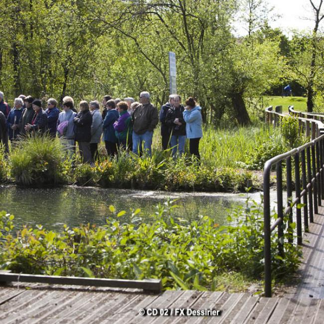 Balade au marais d'Isle de Saint-Quentin
