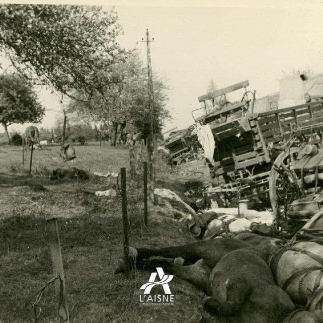 Convoi d’artillerie renversé près d’une prairie et cadavres de chevaux, probablement sur la route de Brunehamel à Mont-Saint-Jean, mai 1940. © Arch. dép. Aisne, 2 Fi 1158