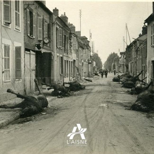 Cadavres de chevaux dans une rue bordée de maisons à Hirson. © Arch. dép. Aisne 2 Fi 1115